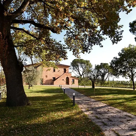Macchie San Vincenzo